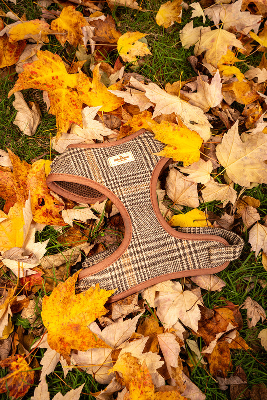 Highlands Harness
