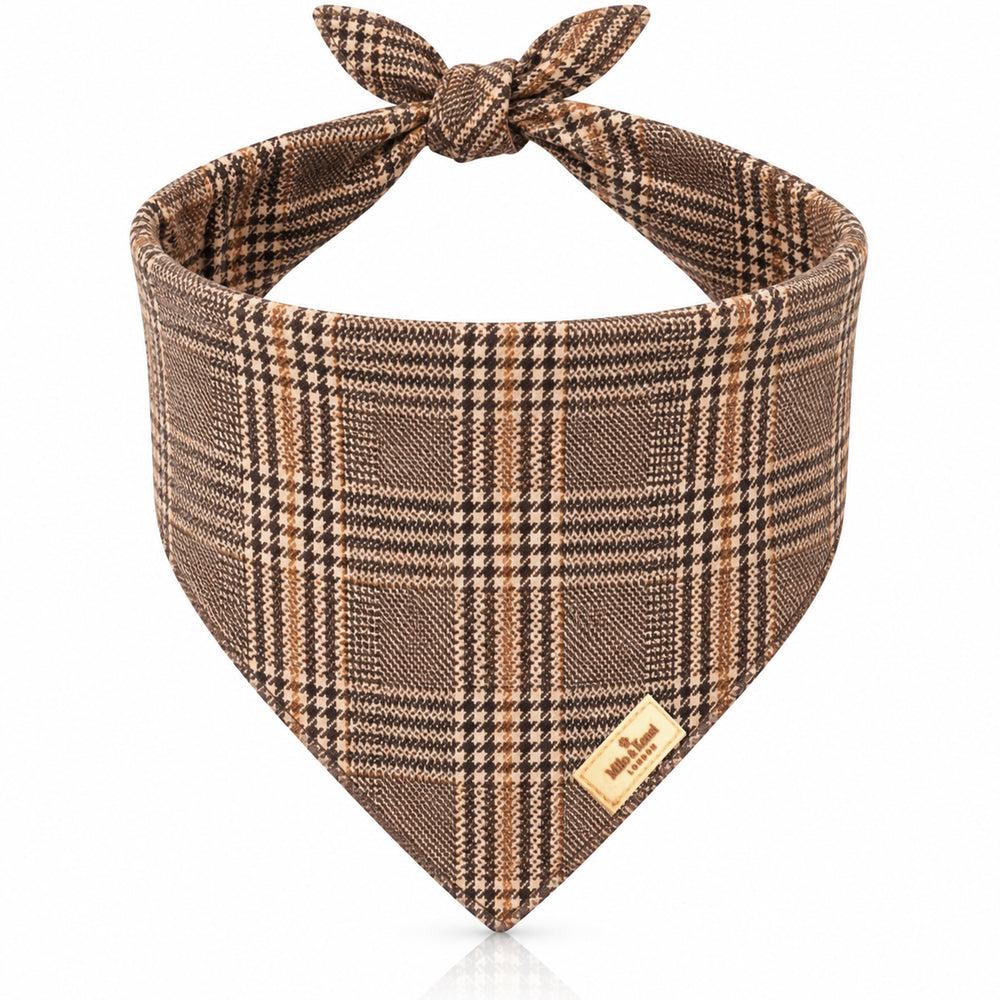 Highlands Bandana — Highlands studio view