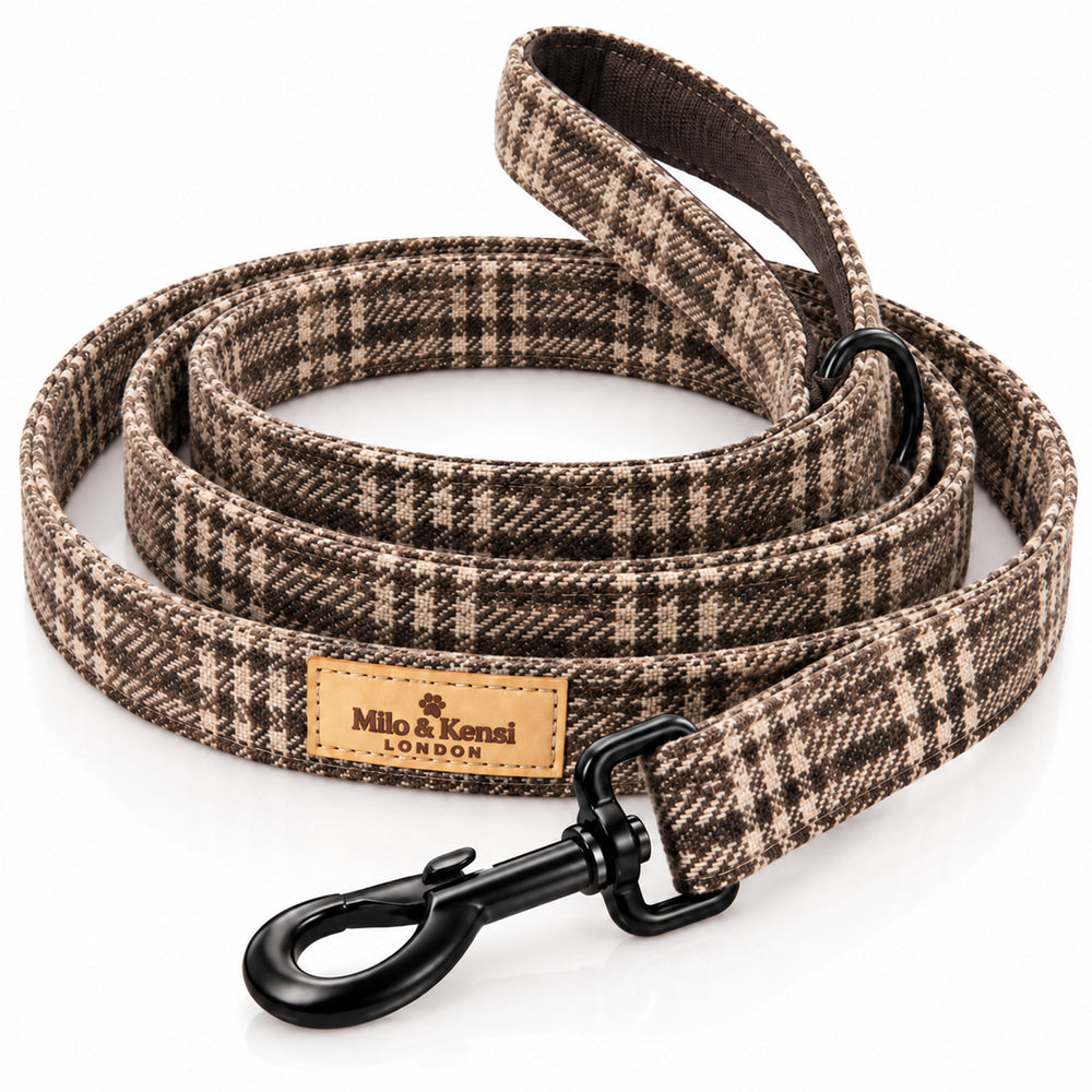 Highlands Leash — Highlands studio view