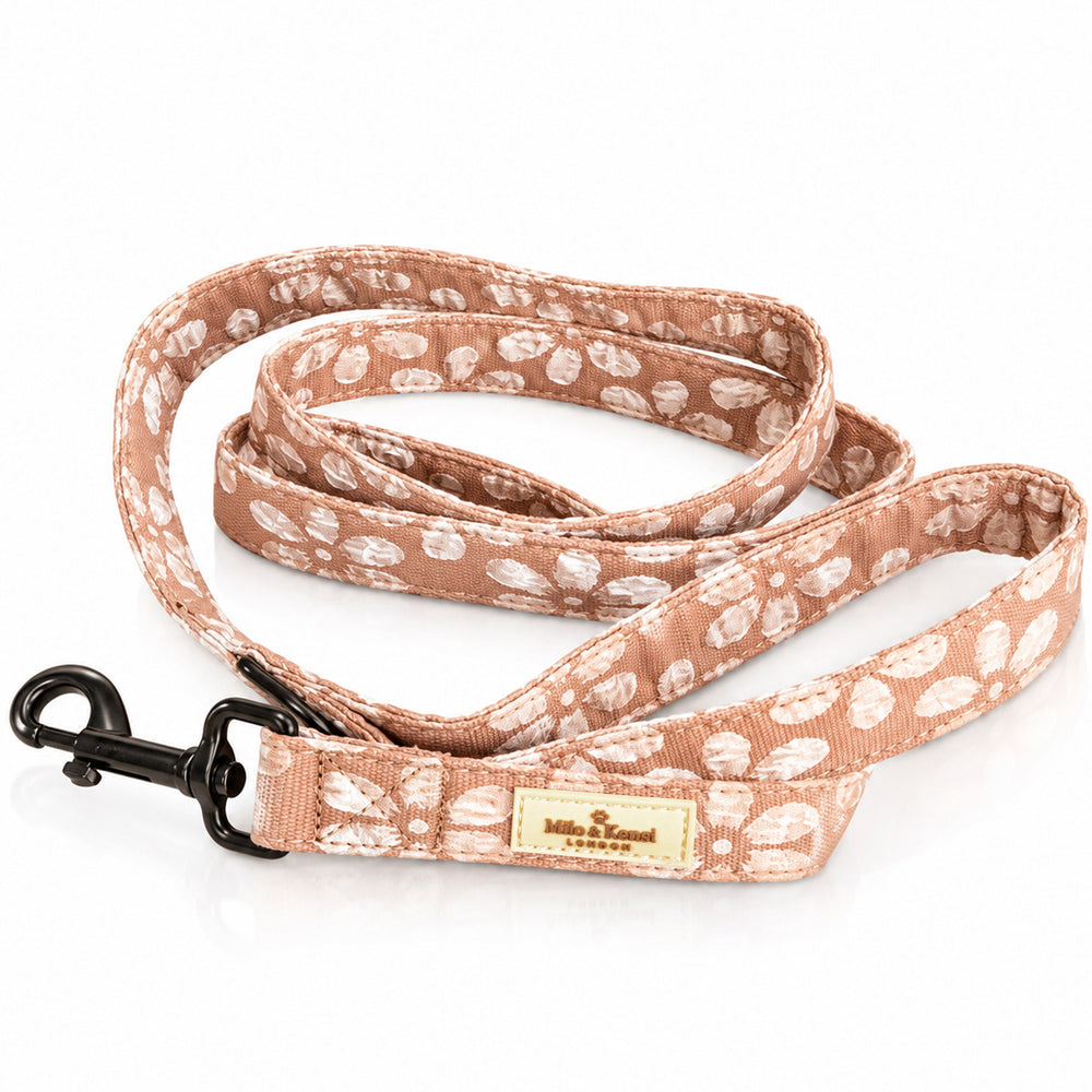 Sakura Leash — Cocoa Bark studio view