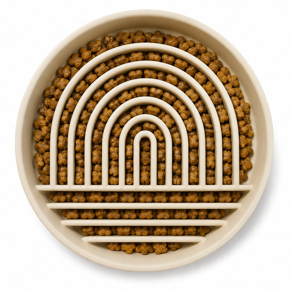 Love Arch Slow Feeder — Sand Whisper studio view