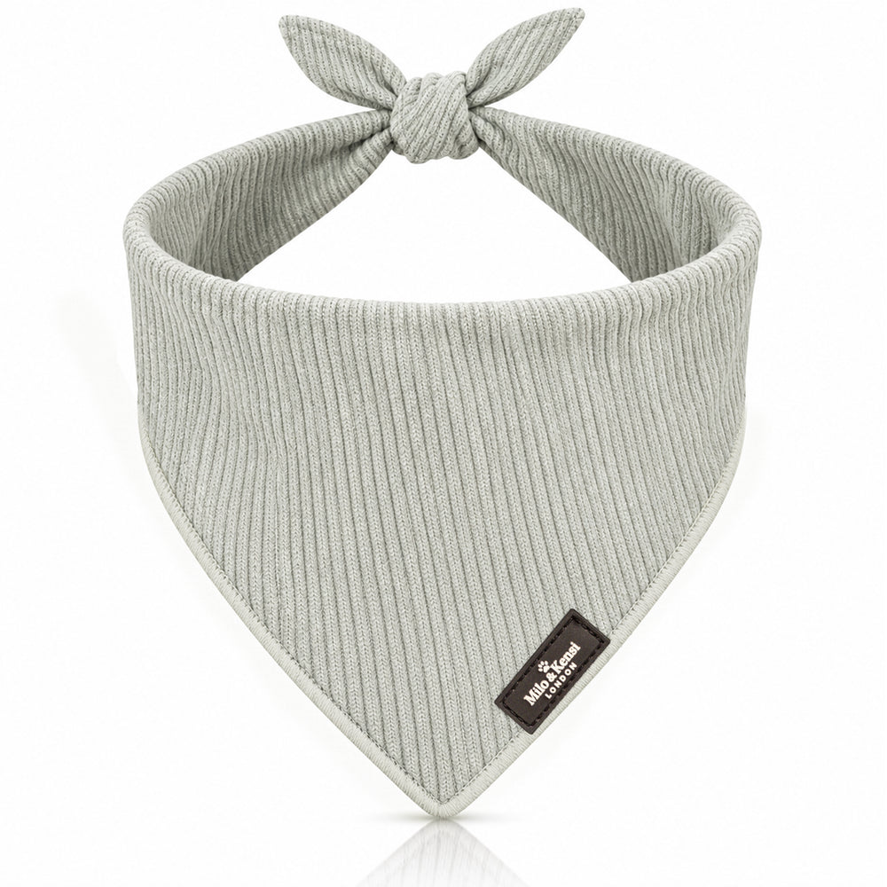 Sorbet Bandana — Frosted Blue studio view