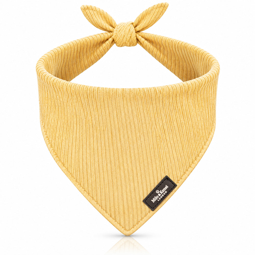Sorbet Bandana — Lemon Sorbet studio view