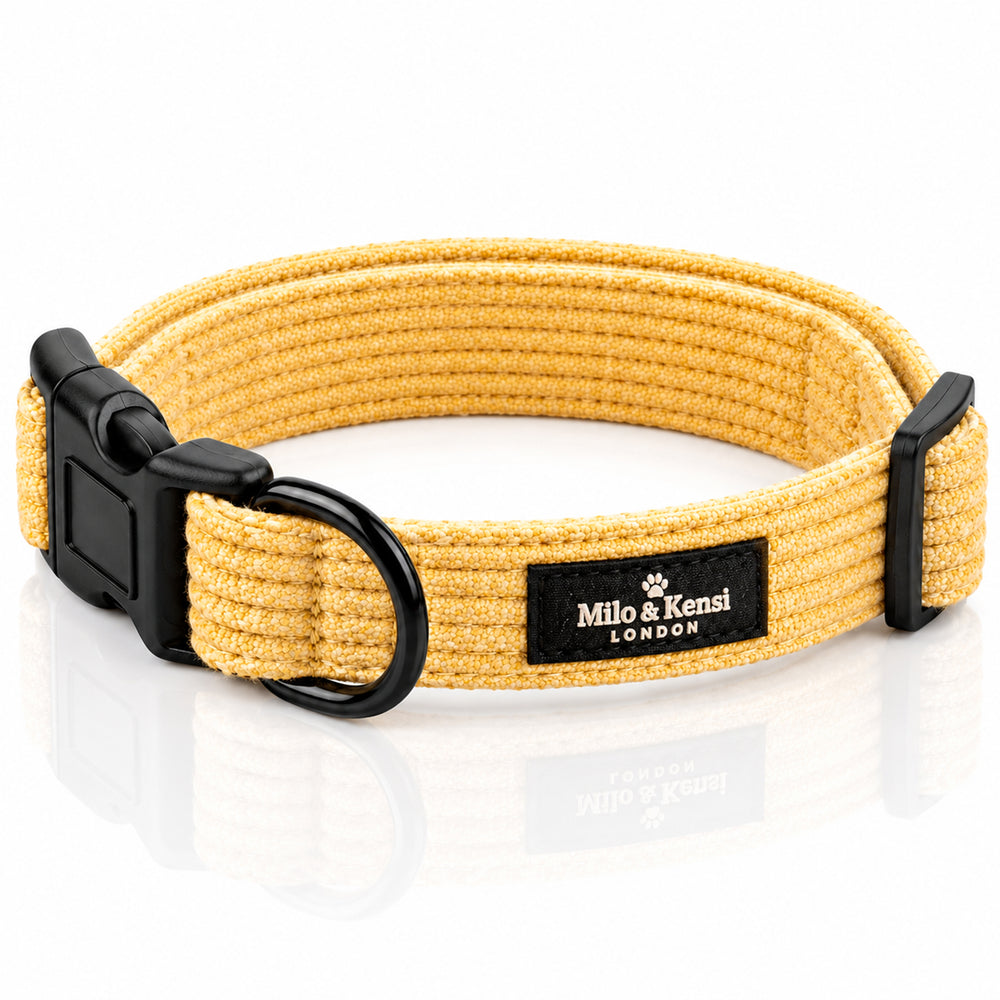 Sorbet Collar — Lemon Sorbet studio view