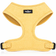 Sorbet Harness — Lemon Sorbet studio view