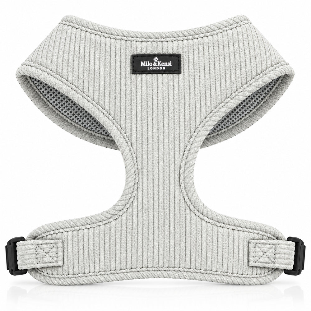 Sorbet Harness — Frosted Blue studio view