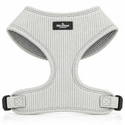 Sorbet Harness — Frosted Blue studio view