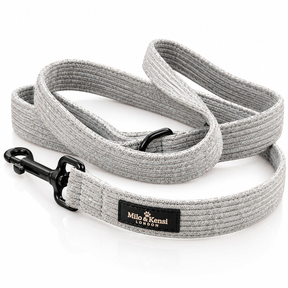 Sorbet Leash — Frosted Blue studio view