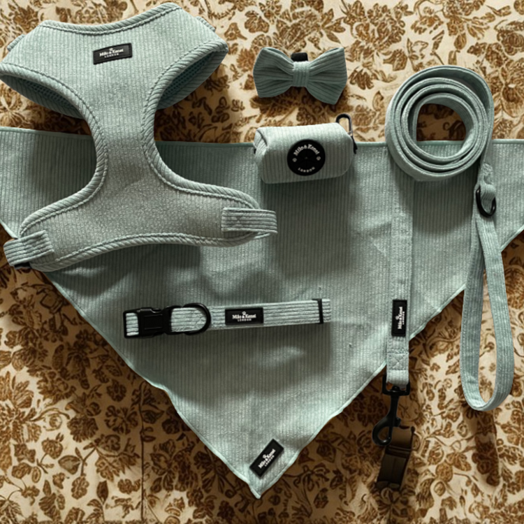 The Sorbet Collection