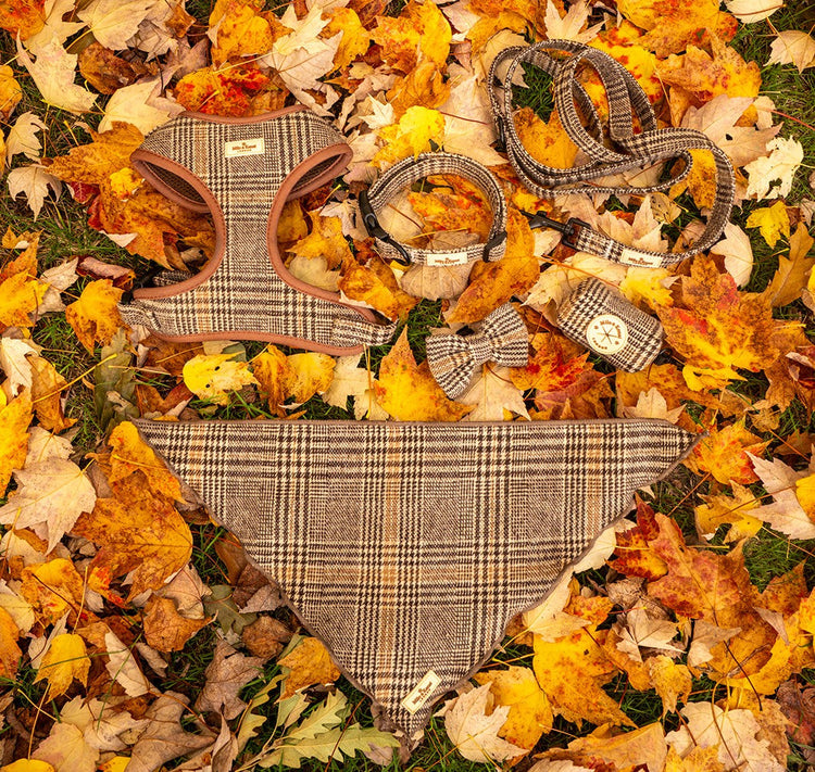 The Highlands Collection