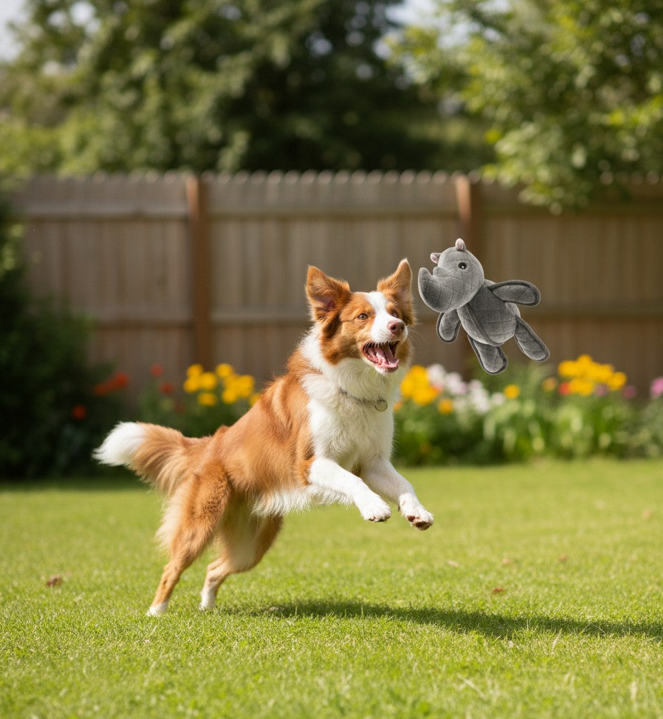 Hunter Tough Rhinoceros Dog Toy