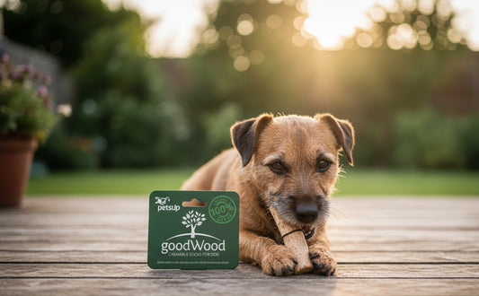 GoodWood- long lasting chewable coffee stick