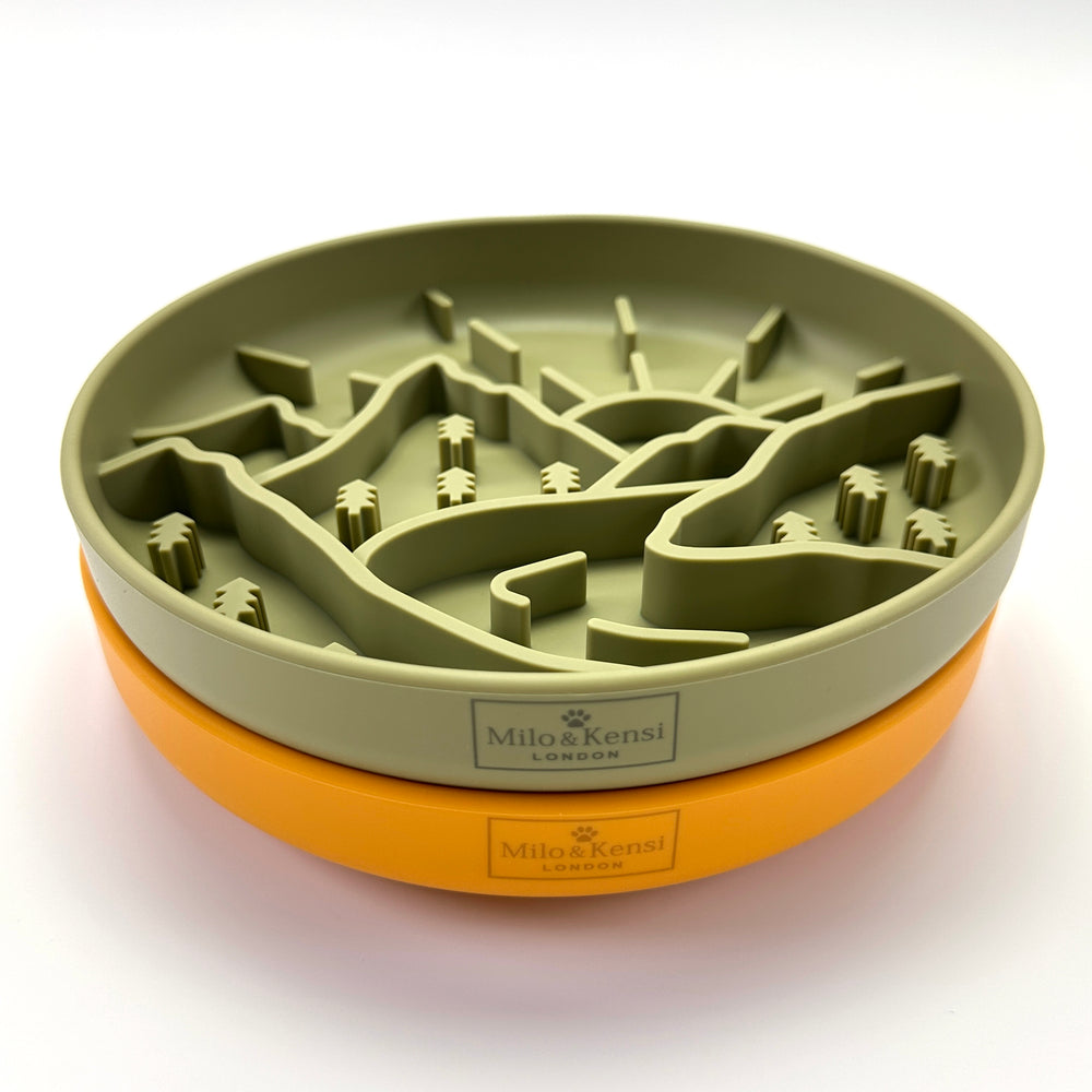 Enchanted Forest Slow Feeder