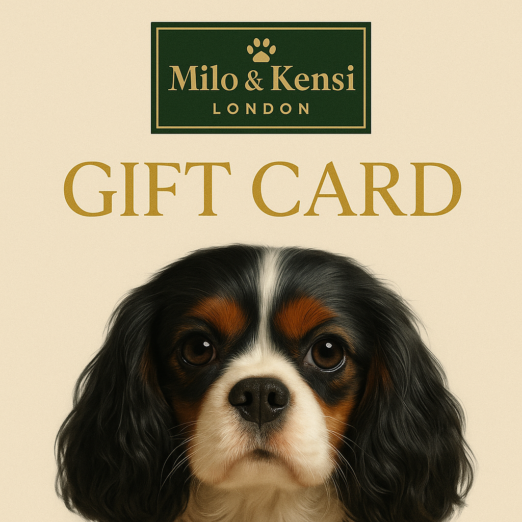 Milo & Kensi Gift Card
