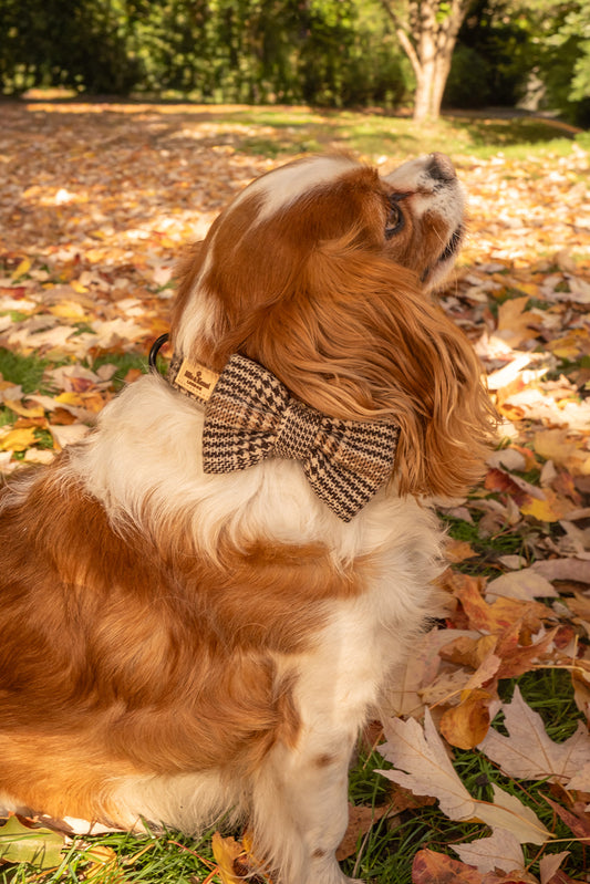 Highlands Bow Tie
