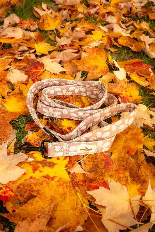 Sakura Leash