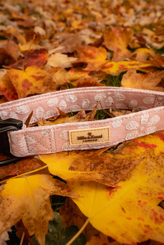 Sakura Collar