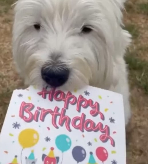 Happy Birthday to CHEW! - Dog Birthday Treat Card (Bacon)