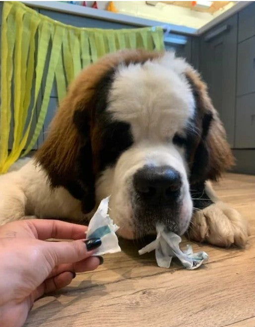 Merry Christmas Pastel - Edible Dog Card (Chicken)