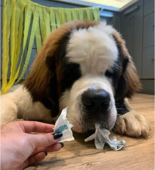 Heartbeat Christmas Dog - Edible Dog Card (Chicken)