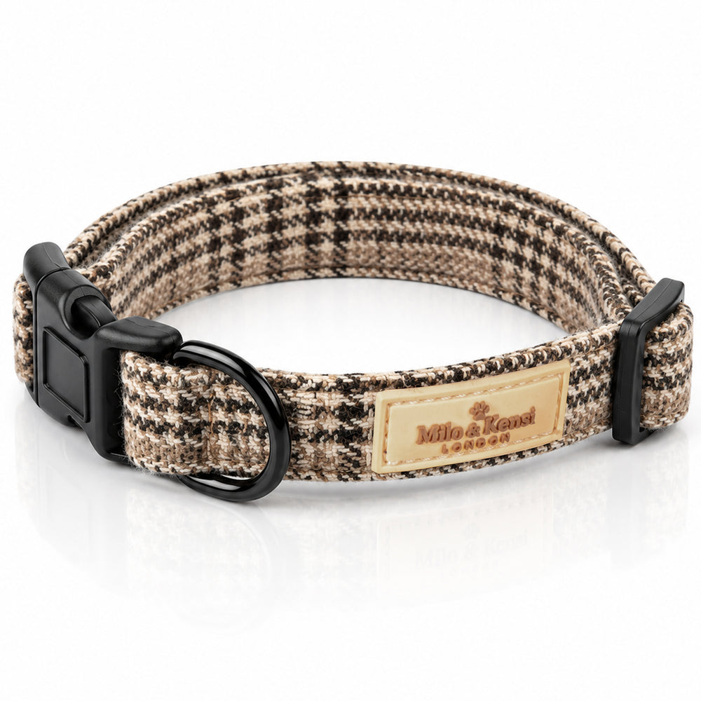 Highlands Collar — Highlands studio view