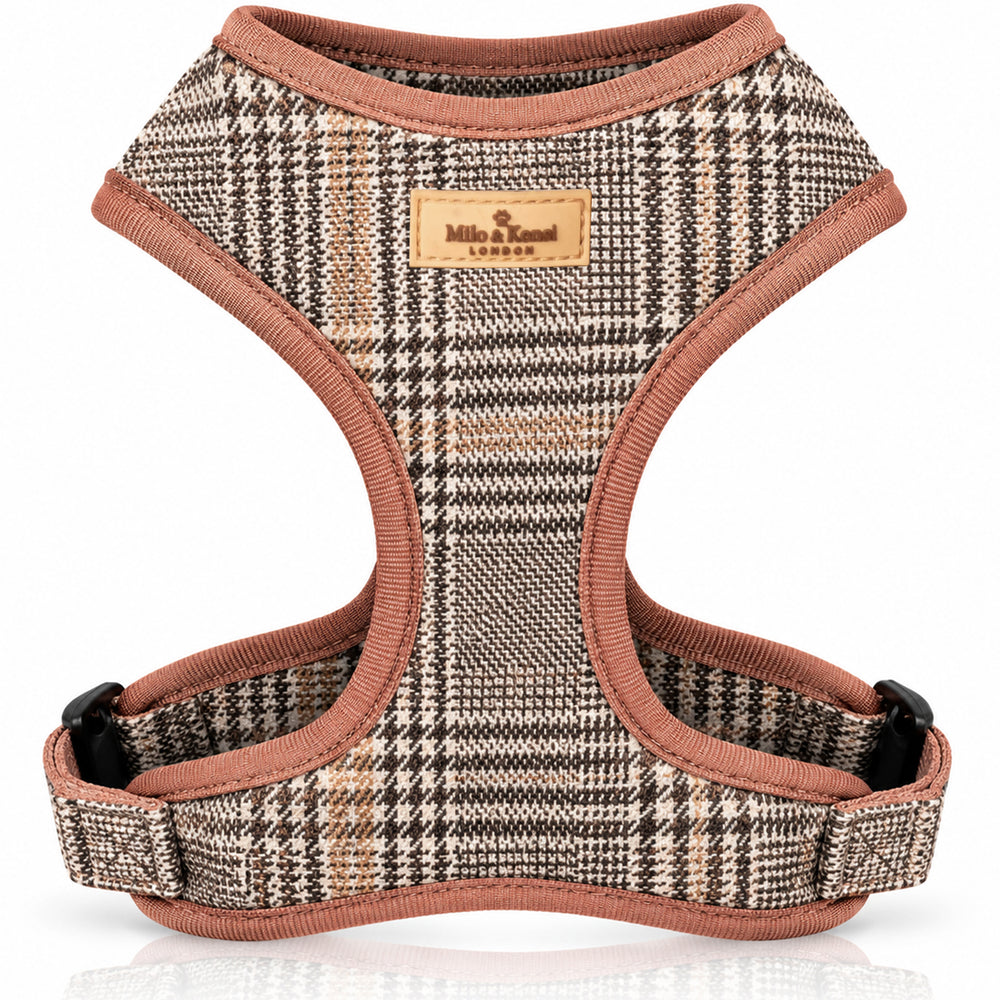 Highlands Harness — Highlands studio view