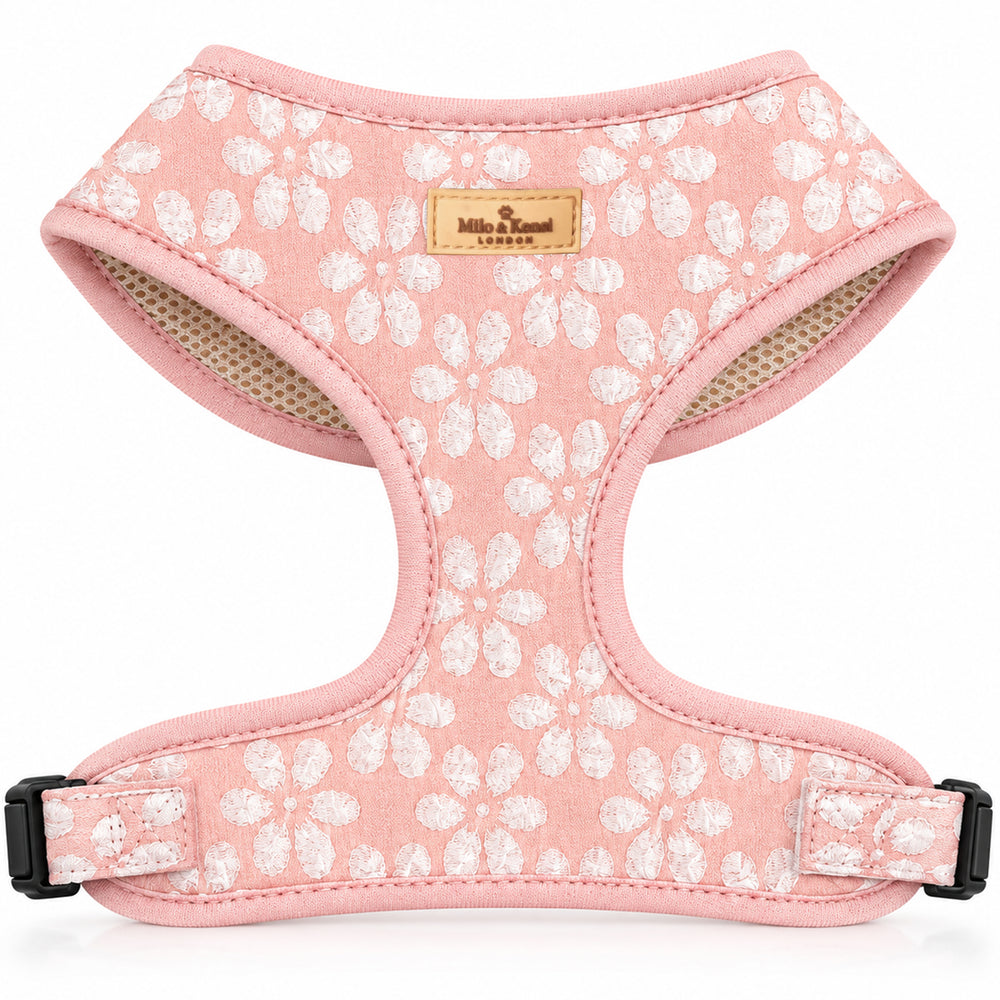 Sakura Harness Blush Blossom — Blush Blossom studio view
